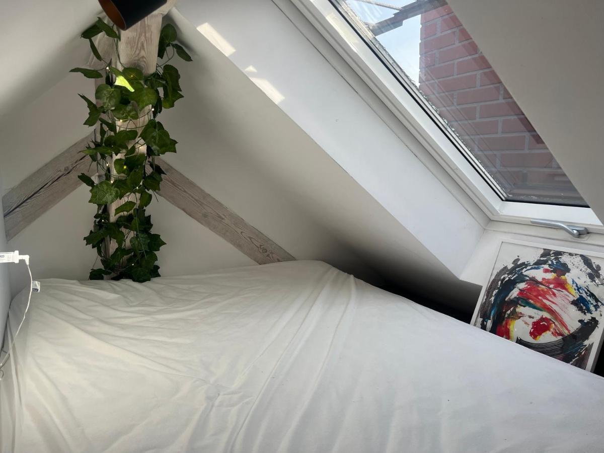 Apartment Attic Torun